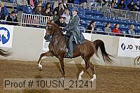 10usn_21241 proof