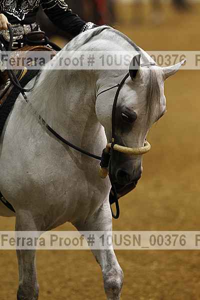 Proof 10usn_00376