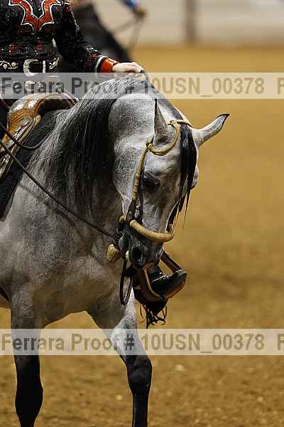 Proof 10usn_00378