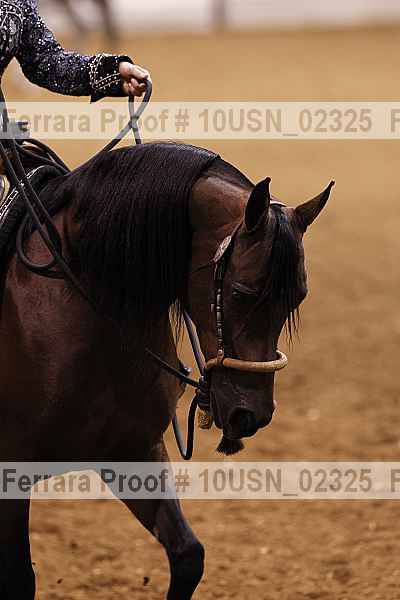 Proof 10usn_02325