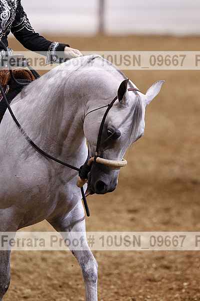 Proof 10usn_09667