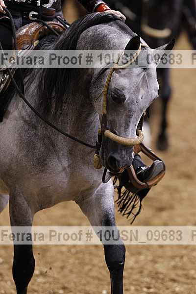 Proof 10usn_09683