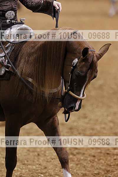 Proof 10usn_09688