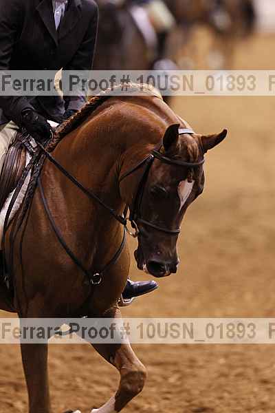 Proof 10usn_01893