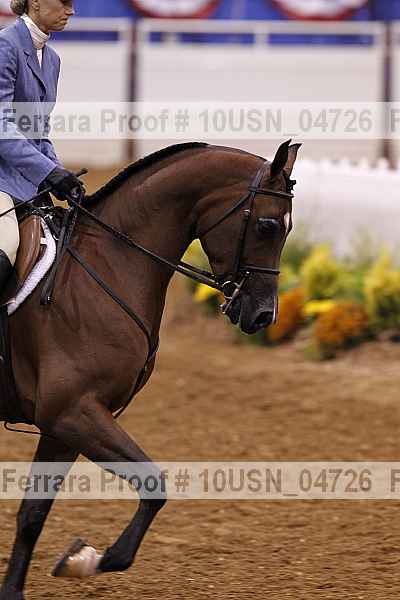 Proof 10usn_04726