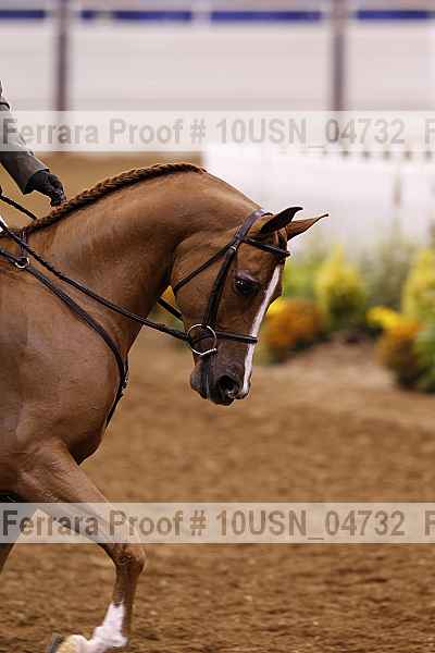 Proof 10usn_04732