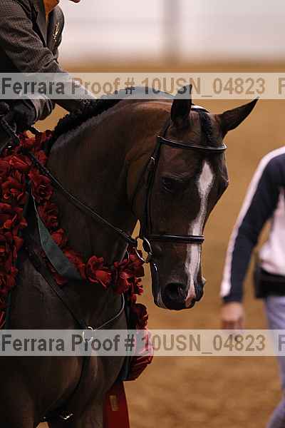 Proof 10usn_04823