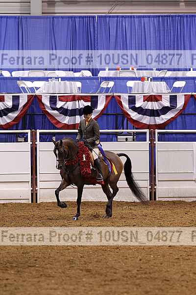 Proof 10usn_04877