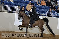 10usn_03191 proof