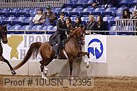 10usn_12395 proof