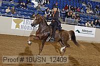 10usn_12409 proof