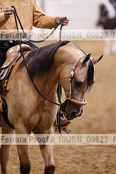 Proof 10usn_00823