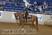 10usn_00853 proof