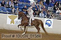 10usn_01384 proof