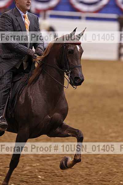 Proof 10usn_01405