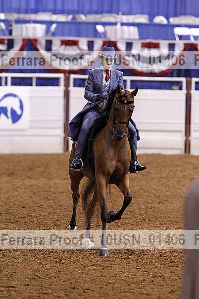 Proof 10usn_01406
