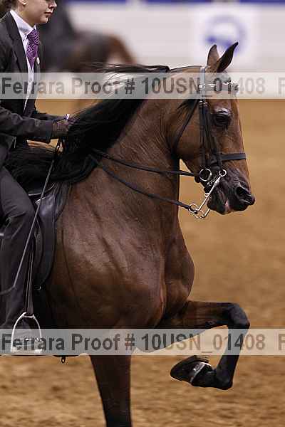 Proof 10usn_01408