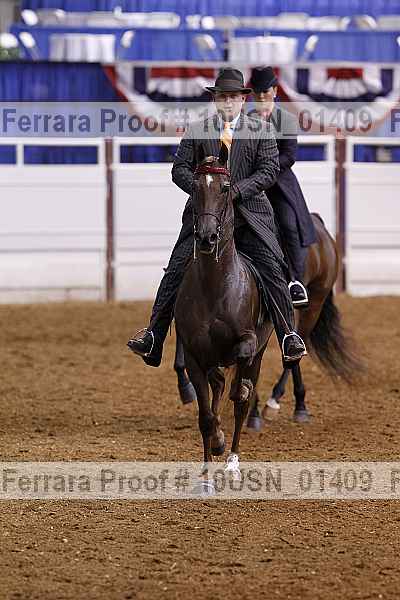 Proof 10usn_01409