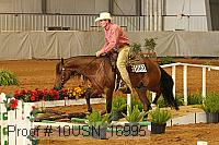 10usn_16995 proof