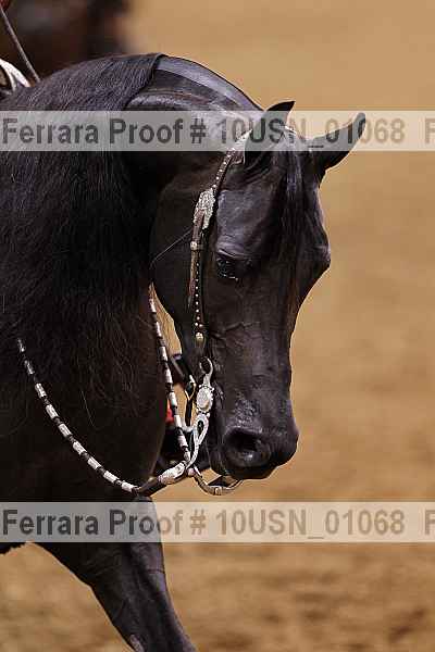 Proof 10usn_01068
