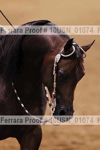 Proof 10usn_01074