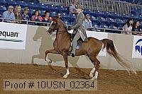 10usn_02364 proof