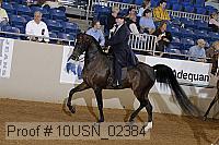 10usn_02384 proof