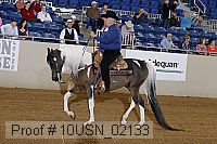 10usn_02133 proof