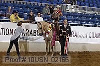 10usn_02166 proof