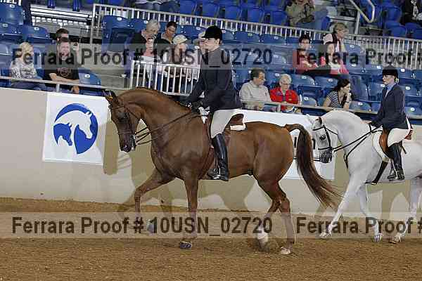Proof 10usn_02720