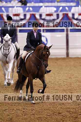 Proof 10usn_02729