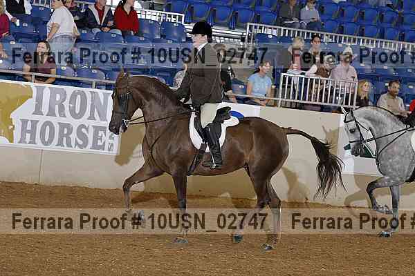 Proof 10usn_02747