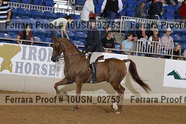 Proof 10usn_02753