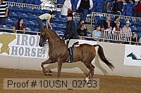10usn_02753 proof