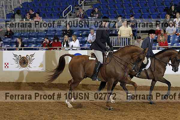Proof 10usn_02772
