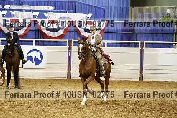 Proof 10usn_02775