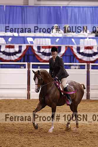 Proof 10usn_02791