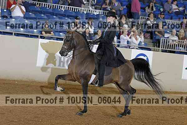 Proof 10usn_06044