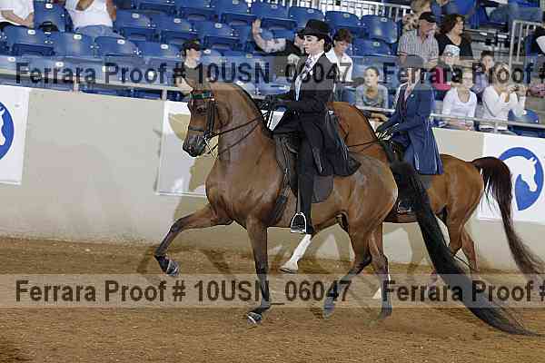 Proof 10usn_06047