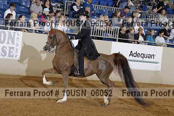 Proof 10usn_06052