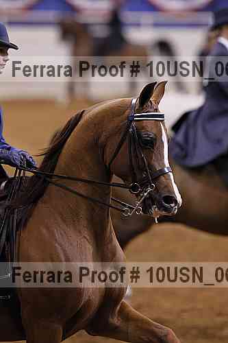 Proof 10usn_06056