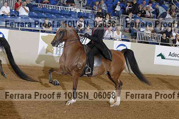 Proof 10usn_06058