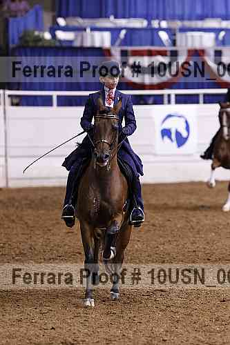 Proof 10usn_06065