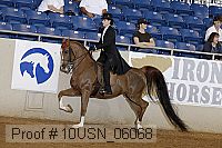 10usn_06068 proof