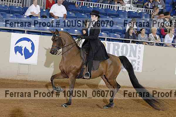 Proof 10usn_06070