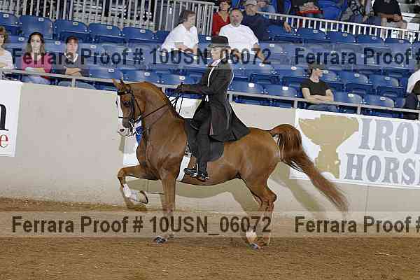 Proof 10usn_06072