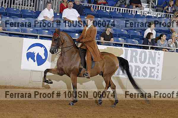 Proof 10usn_06074