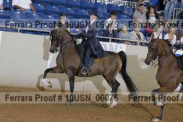 Proof 10usn_06075