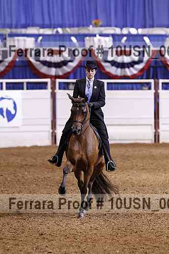 Proof 10usn_06076