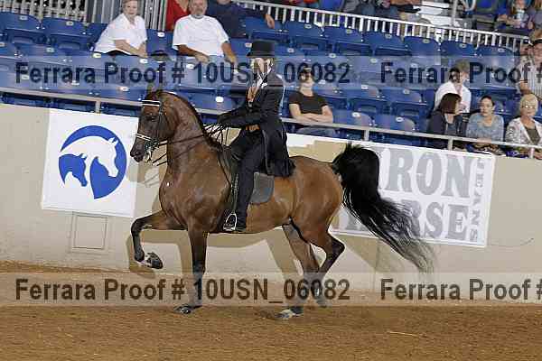 Proof 10usn_06082